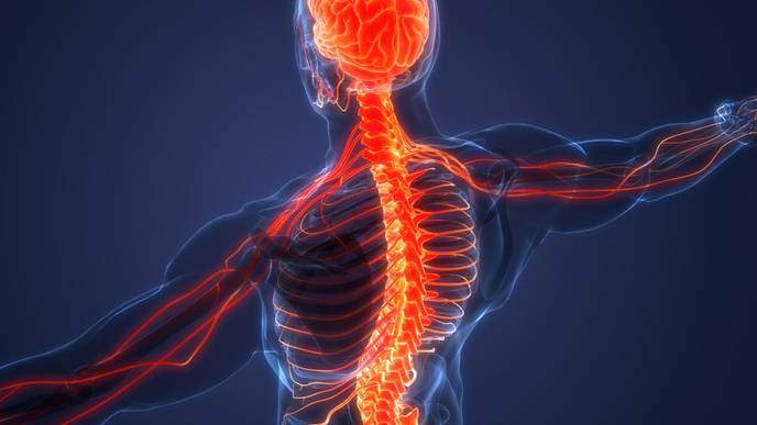 ReachMD Healthcare Image