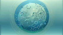 Innovative Chemical Compounds Evaluating Their Role in Metabolic Health and Inflammation Reduction