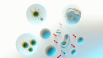 Emerging Mutations in H5N1 Bird Flu