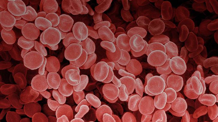 ReachMD Healthcare Image