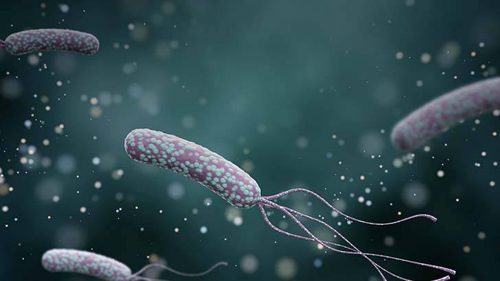 ReachMD Healthcare Image