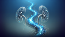 nora revolutionizing ckd classification