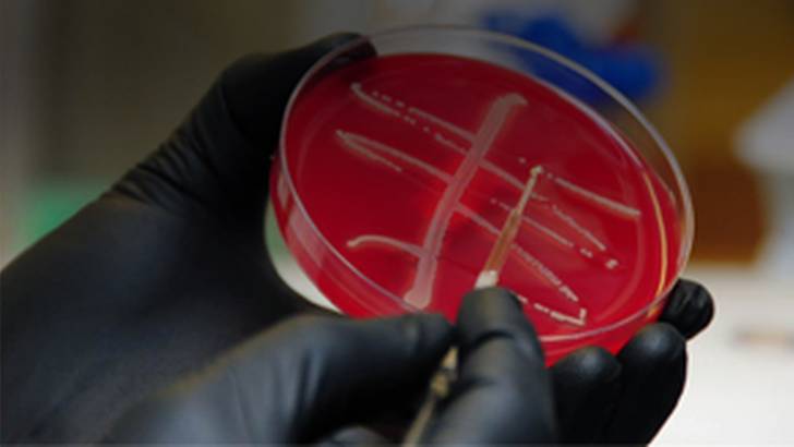 ReachMD Healthcare Image