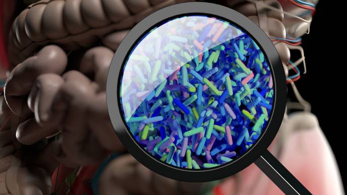 ReachMD Healthcare Image