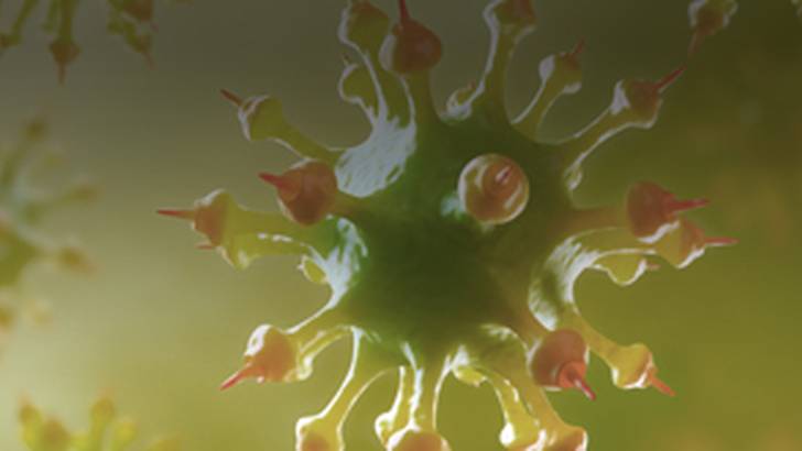 ReachMD Healthcare Image