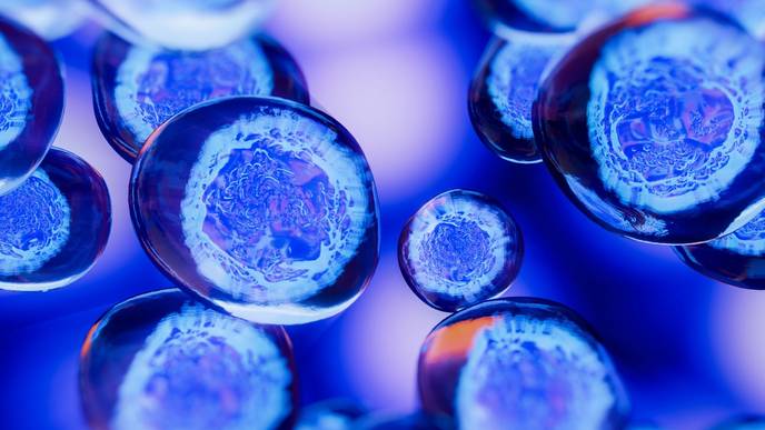 ReachMD Healthcare Image