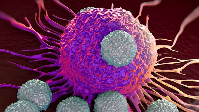 ReachMD Healthcare Image