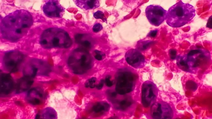 ReachMD Healthcare Image