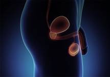 Managing Erectile Dysfunction Stemming from Diabetes and Heart Disease