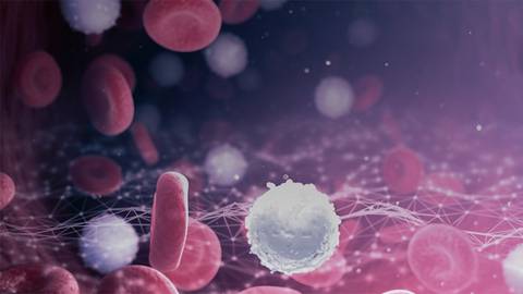ReachMD Healthcare Image