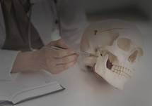 The Gravity of Success: Thriving in a Changing Business Environment