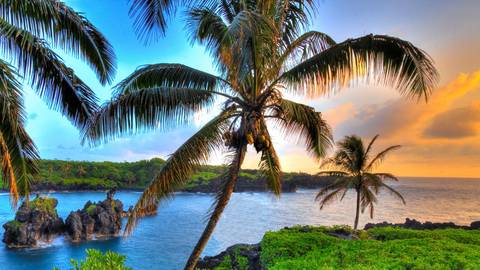 Dr R Rox Anderson Highlights In vivo Microscopy at Maui Derm Hawaii 2025