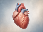 Illustrated heart and coronary arteries representing cardiovascular risk in the VESALIUS CV evolocumab mortality analysis