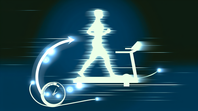 Exercise Calorie Burn and the Constraints of Human Metabolism