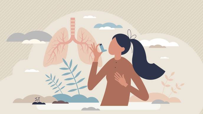 ReachMD Healthcare Image