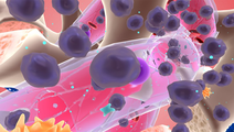 ReachMD Healthcare Image