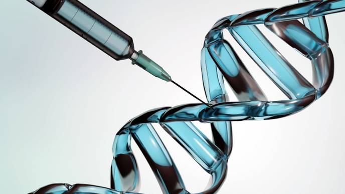 ReachMD Healthcare Image