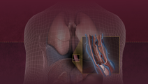 ReachMD Healthcare Image