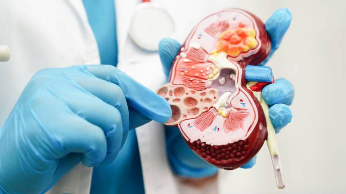 ReachMD Healthcare Image