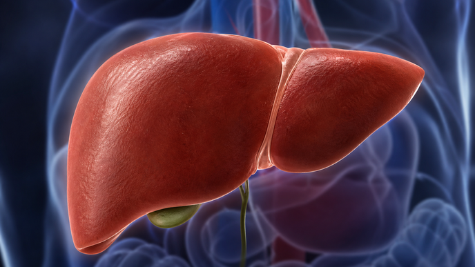 Selenium Deficiency Linked to Frailty in Cirrhosis
