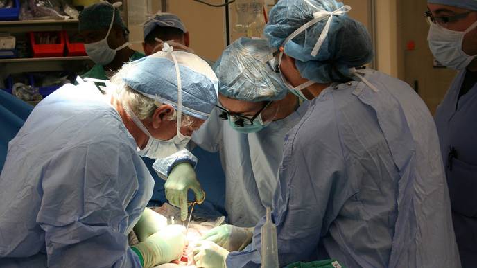 ReachMD Healthcare Image