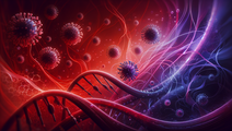 hpv genotype dynamics screening impact