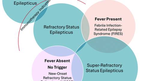 Figure 2 from the Santoro et al article from the Practical Neurology November 2025 issue