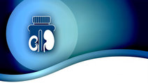 Mefenamic Acid Emerges as a Promising Solution for Kidney Disease Toxin Management