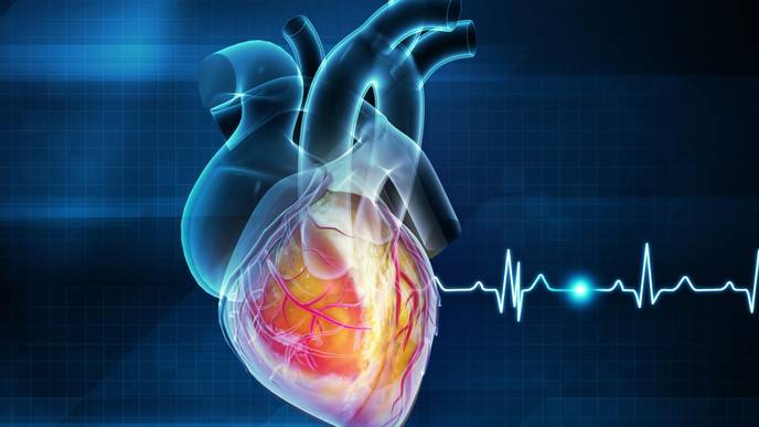 ReachMD Healthcare Image