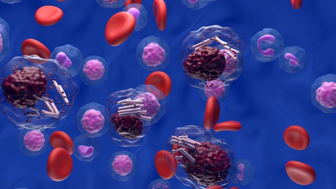 ReachMD Healthcare Image