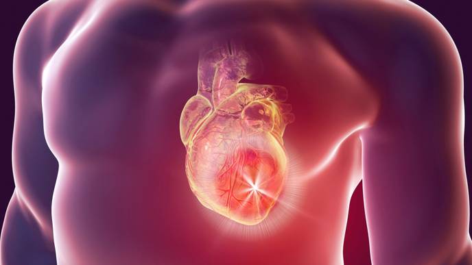 ReachMD Healthcare Image