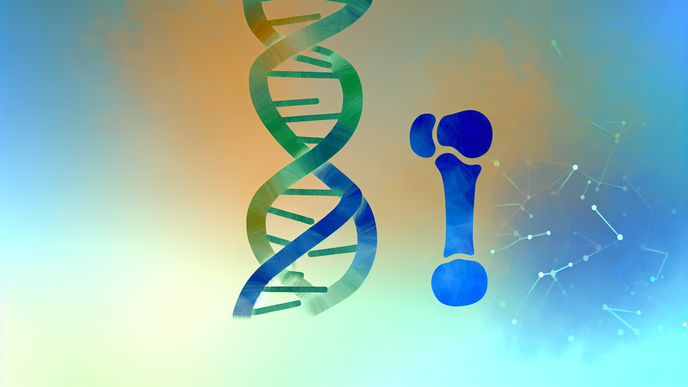 Identifying Genetic Keys to Osteoarthritis
