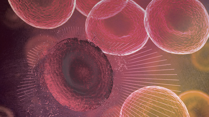 ReachMD Healthcare Image