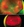 2335-supp-Fig2