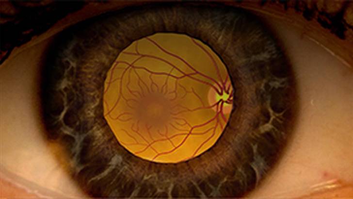 ReachMD Healthcare Image