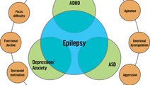 Waldron article Figure 1 from the November 2025 issue of Practical Neurology