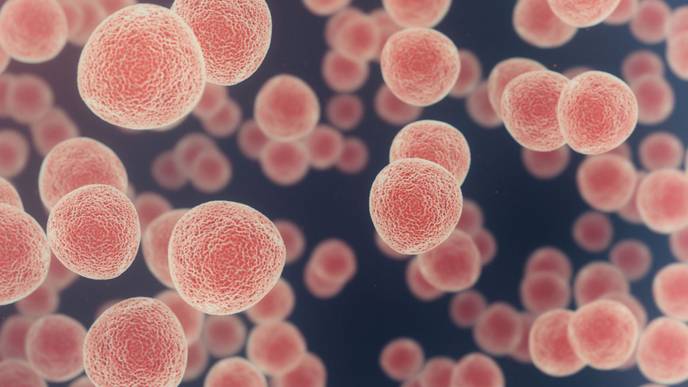 ReachMD Healthcare Image