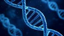 Single Cell Study Links Sex Bias to Lupus Related Immune Signals