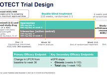 Downloadable Slides