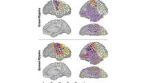 Epilepsy Essentials Novel Interictal Biomarkers for Delineating the Epileptogenic Zone in Children With Drug Resistant Epile