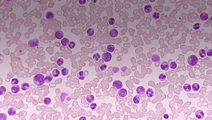 ReachMD Healthcare Image