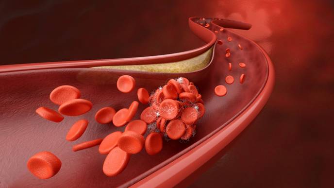 ReachMD Healthcare Image