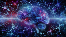 unveiling memory enhancers new frontiers in brain aging research