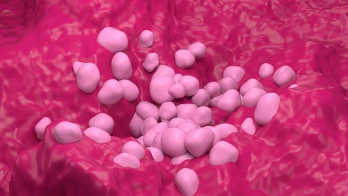 ReachMD Healthcare Image