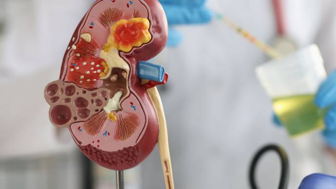 ReachMD Healthcare Image