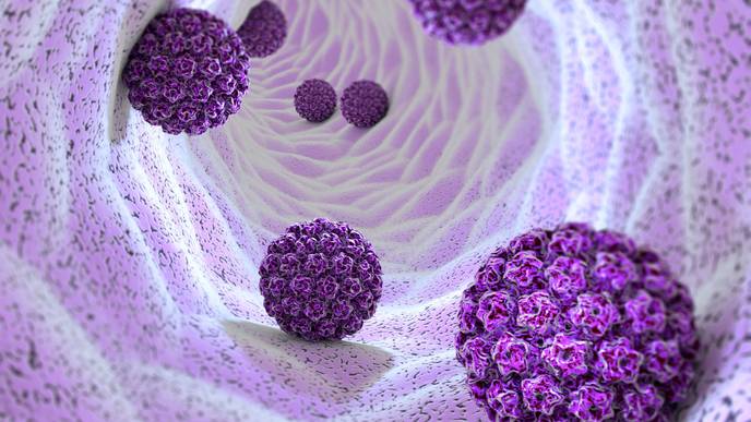 ReachMD Healthcare Image