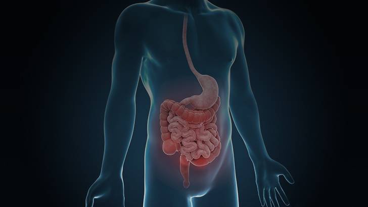 ReachMD Healthcare Image