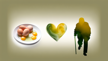 Egg Consumption Linked to Improved Cardiovascular Outcomes in Older Adults