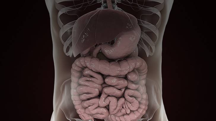 ReachMD Healthcare Image