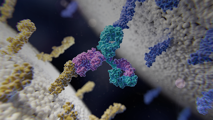 ReachMD Healthcare Image